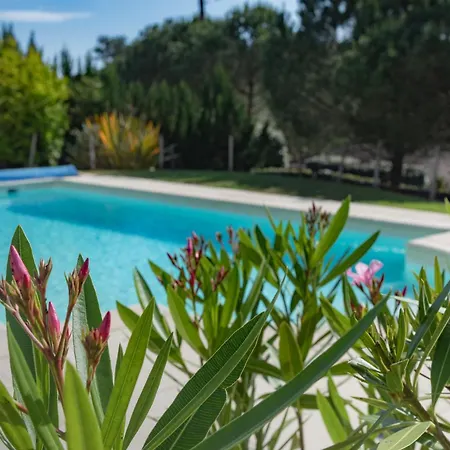 Villa Avec Piscine Dans La Pinede A 4min De L'ocean - Ag38 Lacanau